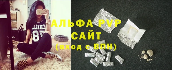 PSILOCYBIN Бородино