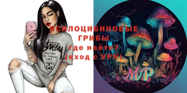 гашик Богородицк